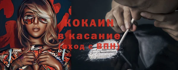 молекула духа Богородицк
