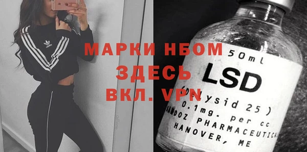 молекула духа Богородицк