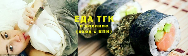 молекула духа Богородицк