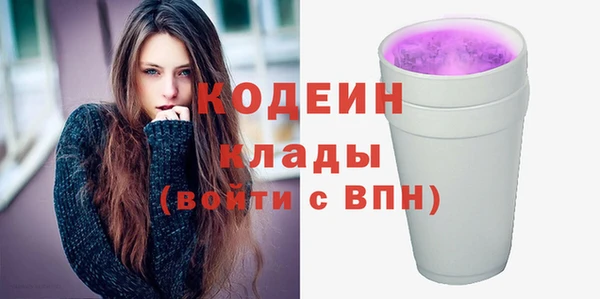 молекула духа Богородицк