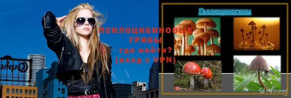 гидропоника Белоозёрский