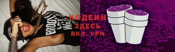 молекула духа Богородицк