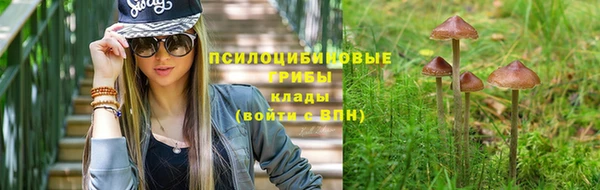 ALPHA-PVP Богданович